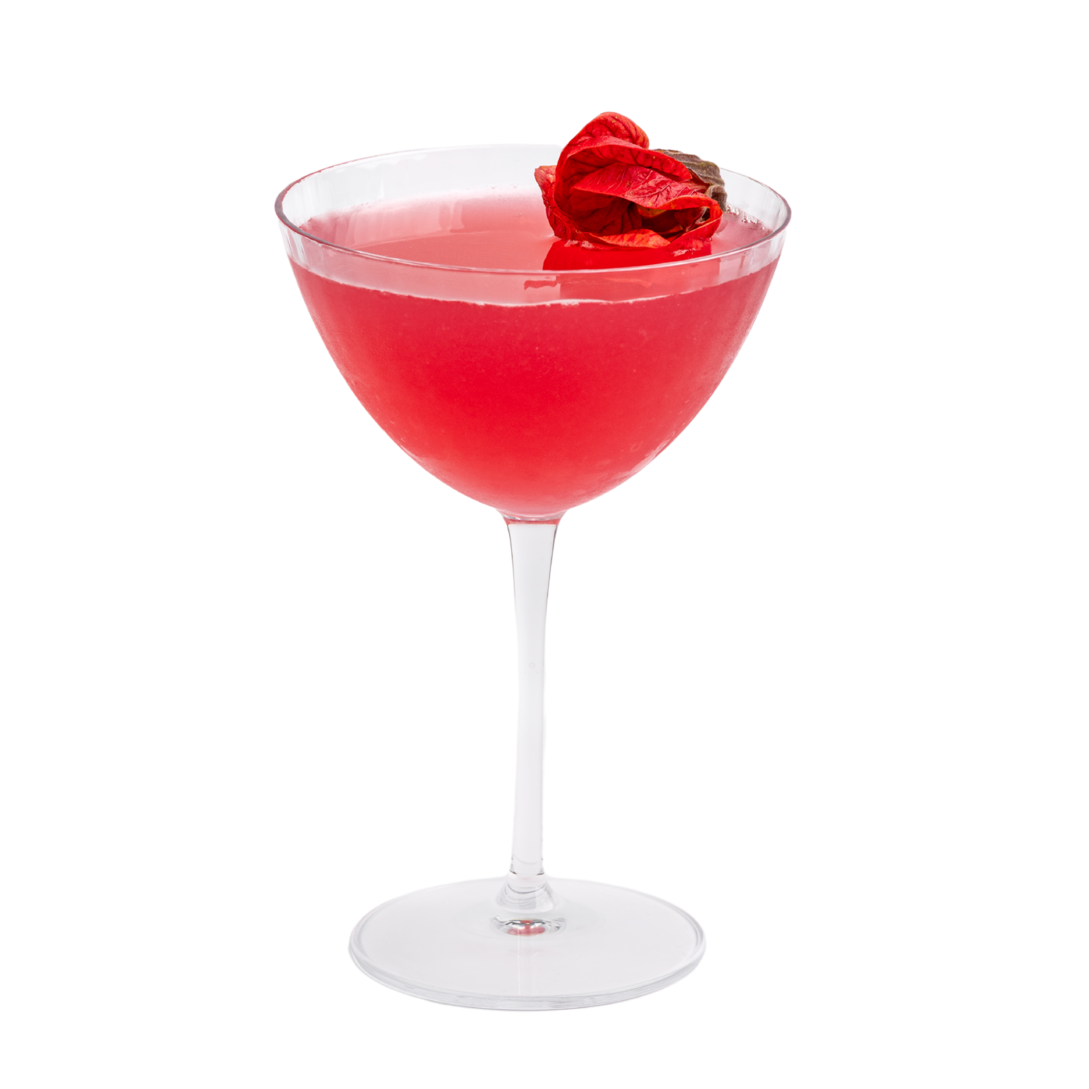 Hibiscus Martini
